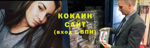 прущие грибы Бронницы