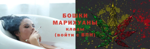 шишки Бугульма