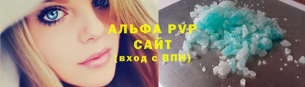 прущие грибы Бронницы