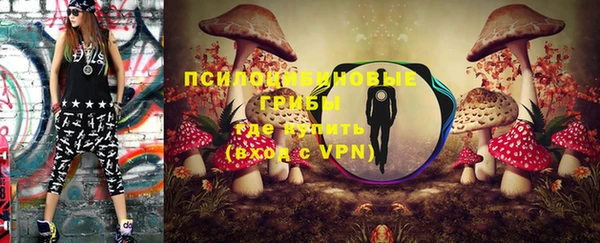 прущие грибы Бронницы