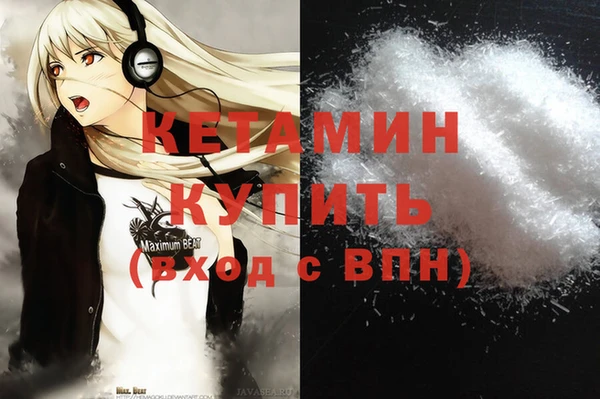 прущие грибы Бронницы
