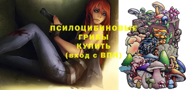 прущие грибы Бронницы