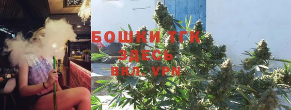 прущие грибы Бронницы