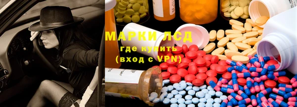 прущие грибы Бронницы