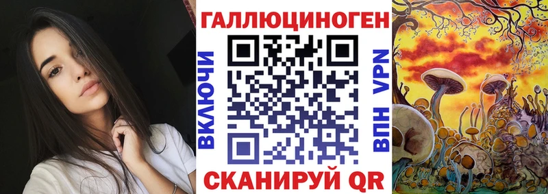 Псилоцибиновые грибы MAGIC MUSHROOMS  продажа наркотиков  ОМГ ОМГ онион  Яровое 